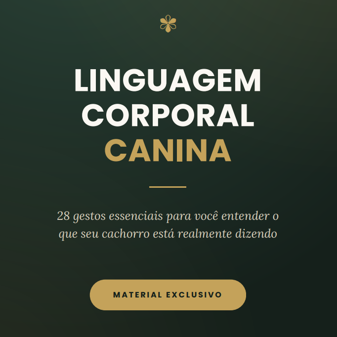 Guia da Linguagem Corporal Canina